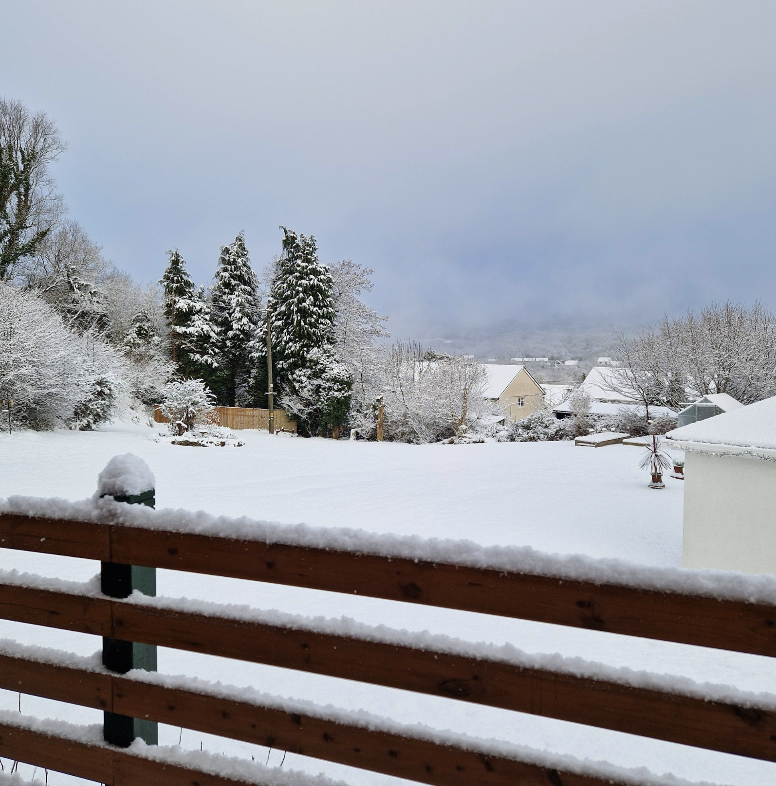 Snowy field view from the deck